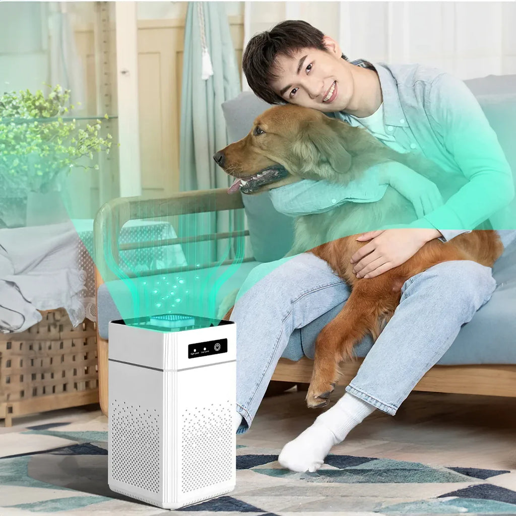 Innovative Technologies in Air Purification for Pet-Friendly Homes