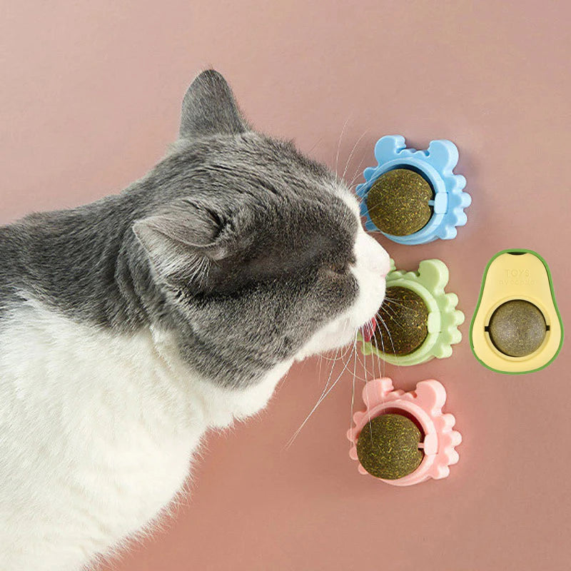 Catnip toys for your kitty