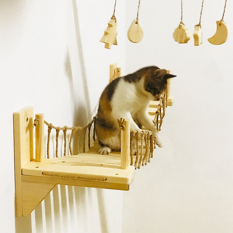 Why a Wall Hanging Cat Climbing and Scratching Structure is Beneficial for Your Feline Companion