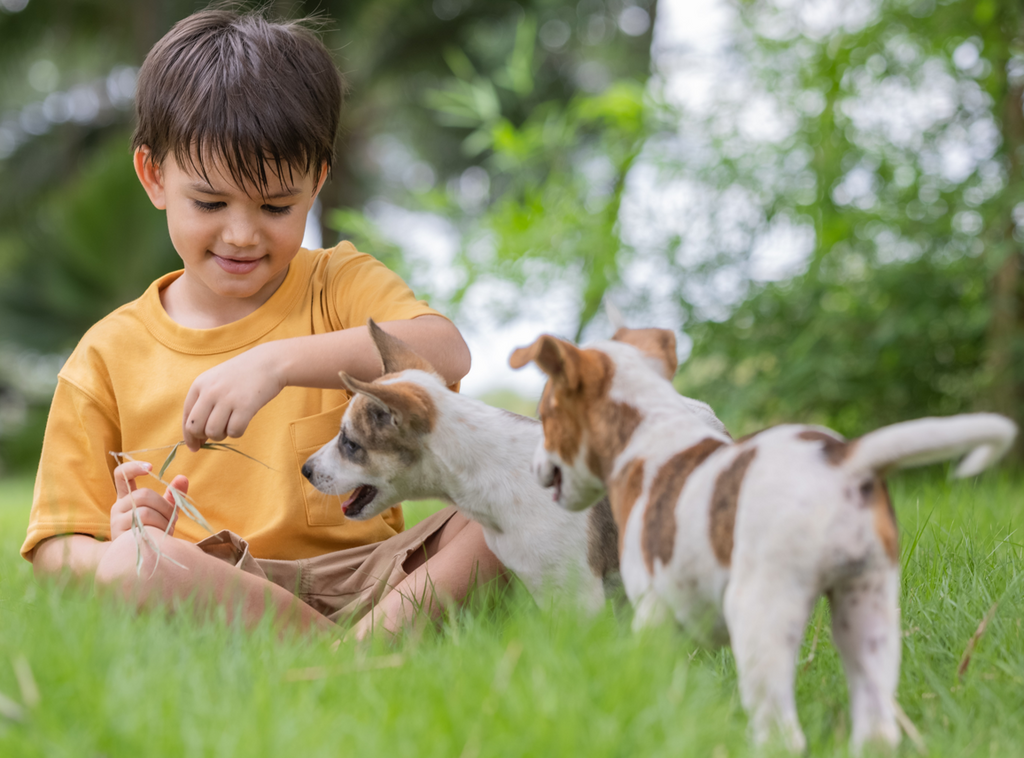 The Bond Between Pets and Children: Teaching Responsibility and Compassion