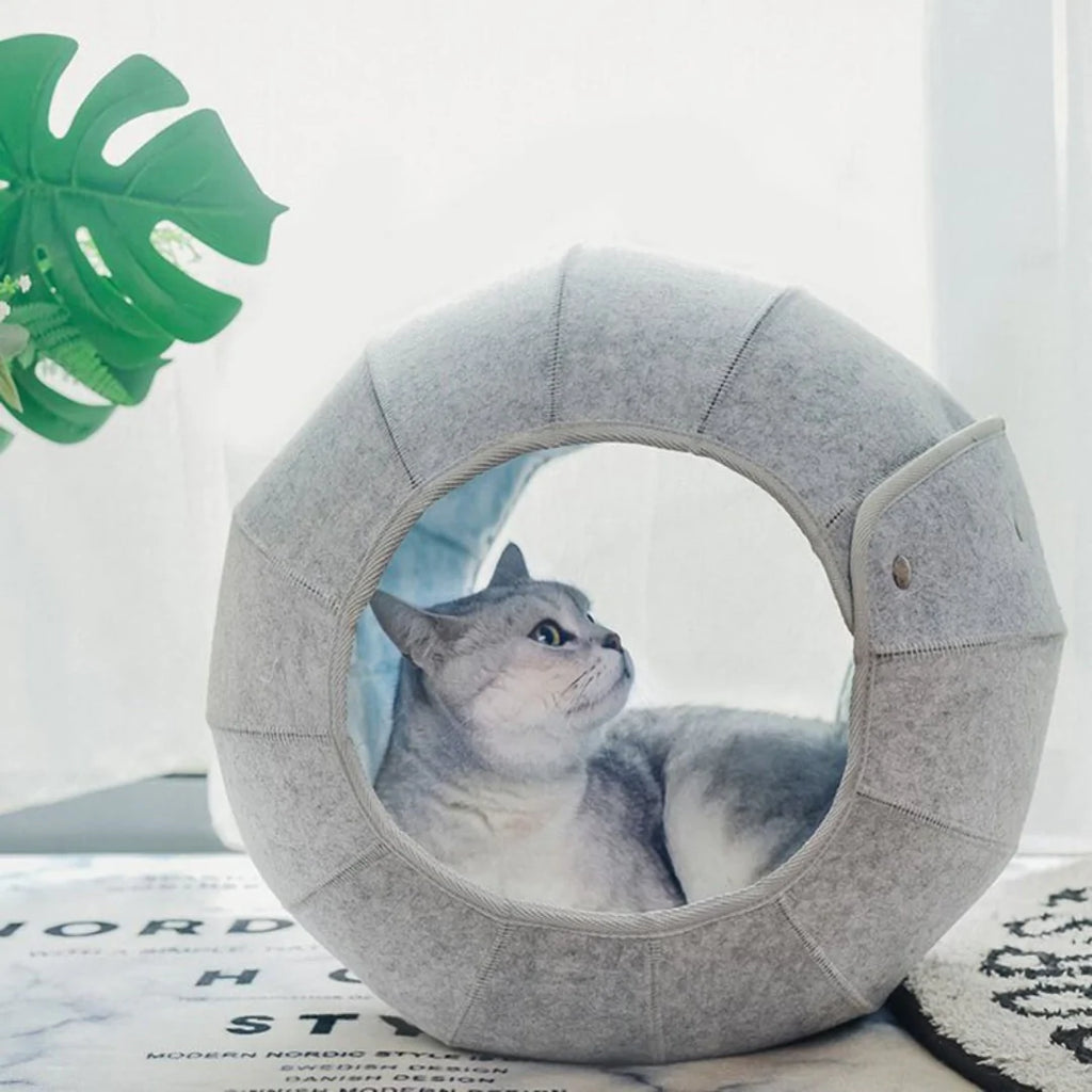 Tunnel Refuge For Cats