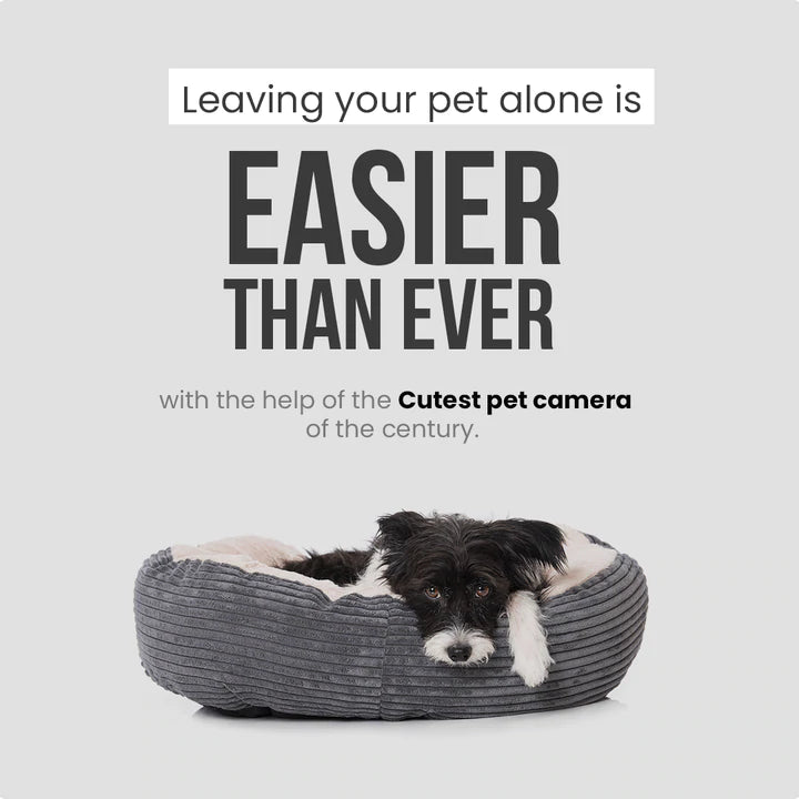 Waggfluence Pet Camera