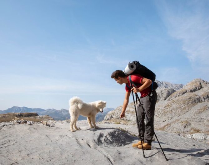 Tips and tricks when hiking with pets