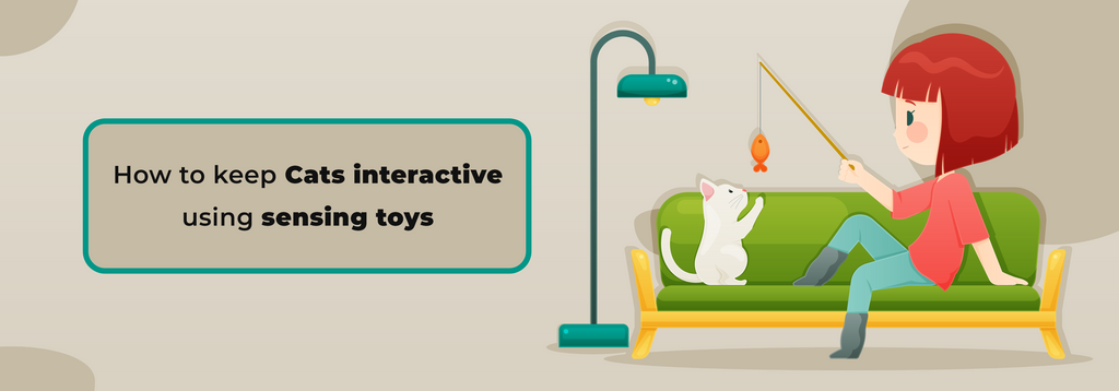 How to keep Cats interactive using sensing toys