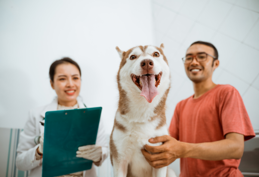 How to Choose the Right Pet Insurance Policy for Different Types of Pets