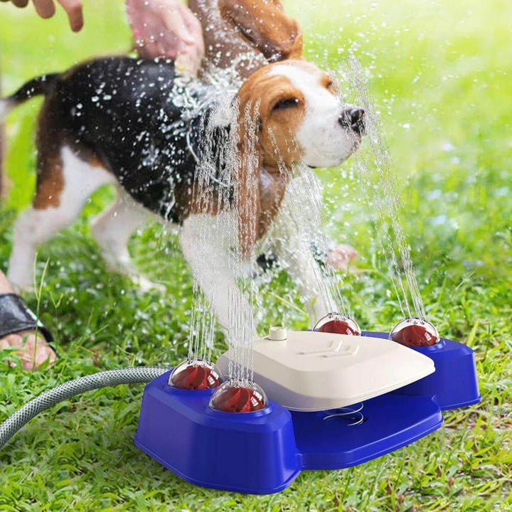 Is your pooch ready for monsoon