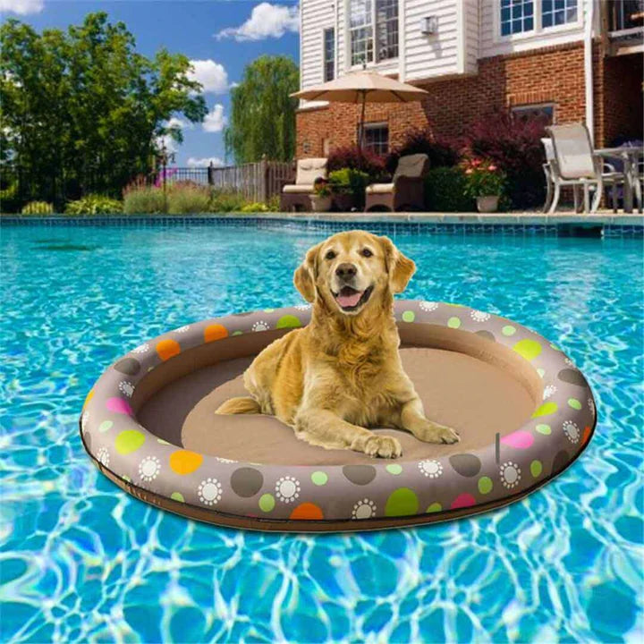 Summer fun with pets