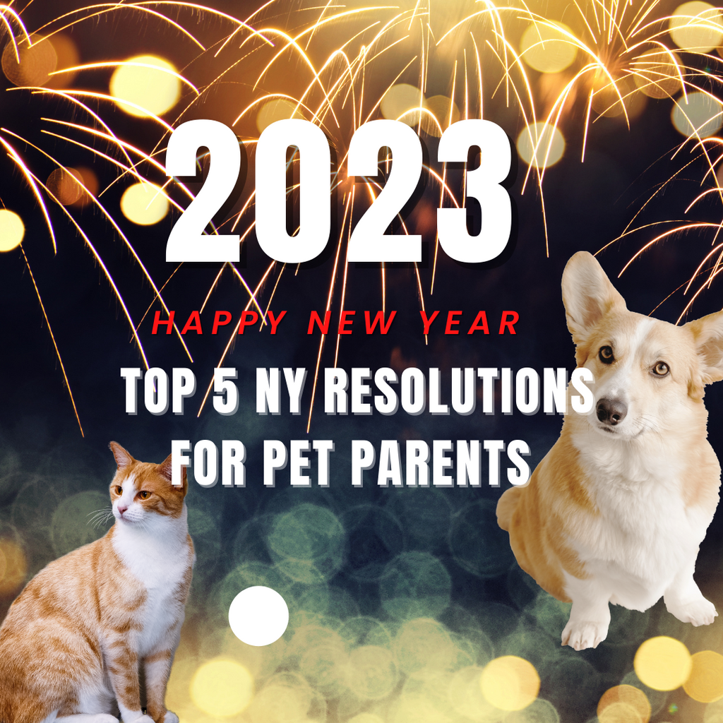 TOP 5 NY RESOLUTIONS FOR PET PARENTS IN 2023