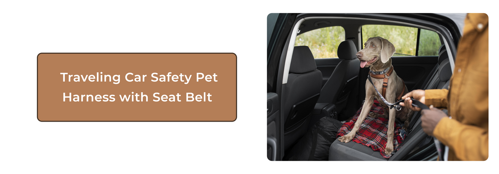 10 Reasons Why a Traveling Car Safety Pet Harness with Seat Belt is a Must- Have for Your Furry Friend