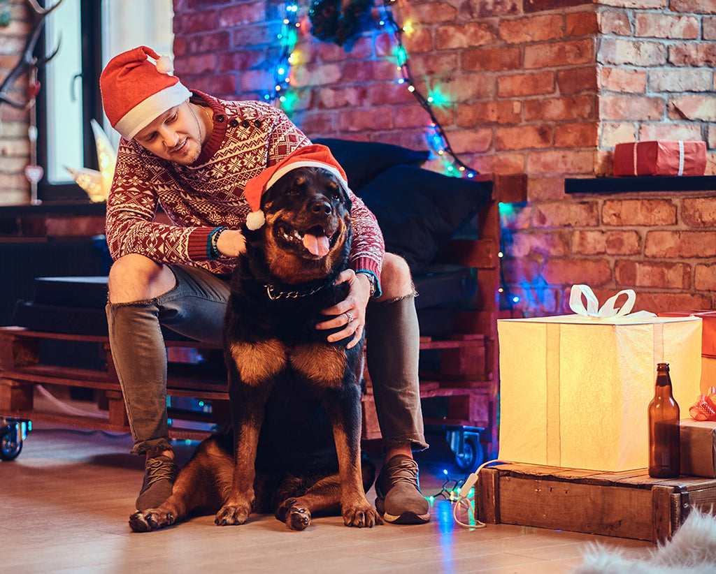 Celebrate Christmas with your pets