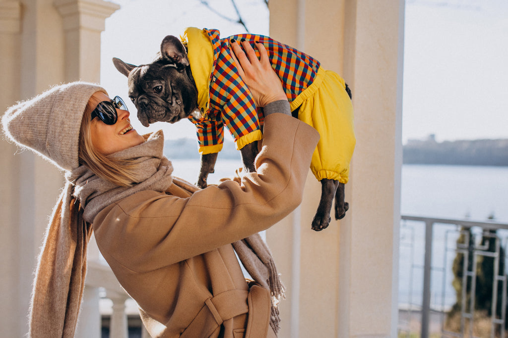 Amazing fall collection for pets