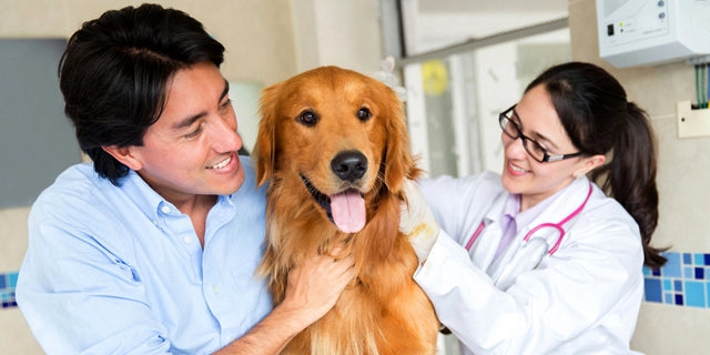 Choosing the right veterinarian