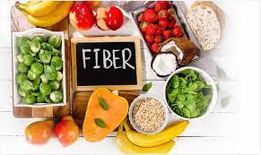 Sources of fibre for dogs
