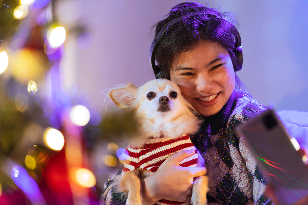 Celebrate a pet friendly Diwali this year