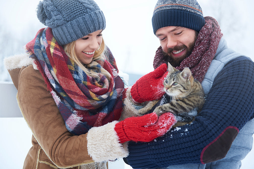 Tips for pet care this winter
