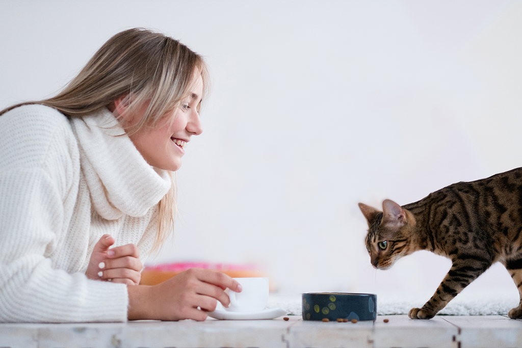 Tips For Raising A Happy Indoor Cat