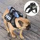 Waggle Dog Cute Outdoor Backpack