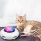 Kitties Want this New Waggle UFO Toy Keep them Happy