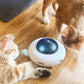 Kitties Want this New Waggle UFO Toy Keep them Happy